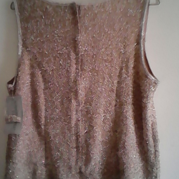 Adrianna Papell Beaded Silk Top New - Picture 6 of 8